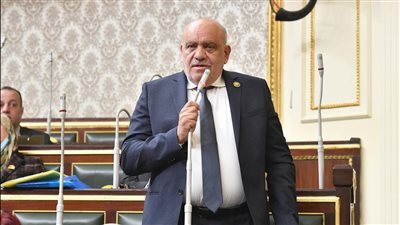 تحرك برلماني لتحويل مليارات الواردات إلى استثمارات ومصانع وفرص عمل داخل مصر