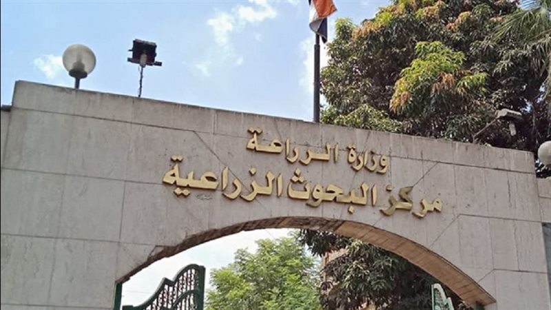 مرشدو الزراعة على أصابع اليد الواحدة، خطة عاجلة لسد العجز بالجمعيات الزراعية
