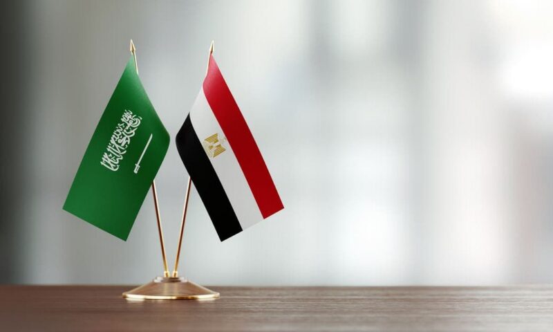 ماجد منير: مصر والسعودية حصن الأمن القومي العربي.. ولا تهاون في حماية الملاحة بالبحر الأحمر