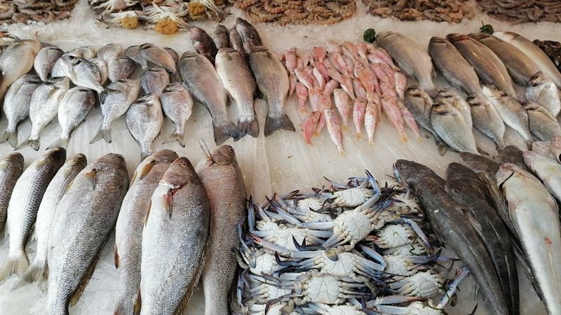 أسعار السمك اليوم، انخفاض قشر البياض والمكرونة 20 جنيها وارتفاع البلطي والجمبري