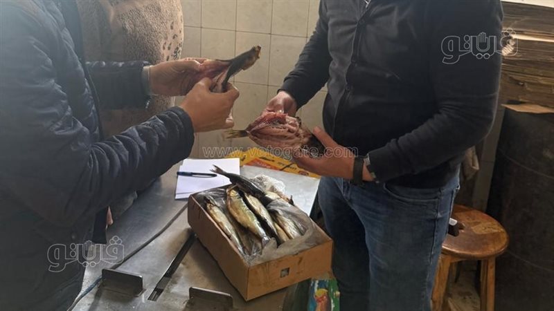 ضبط 1.05 طن دواجن ورنجة مجهولة المصدر بالشرقية