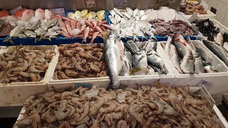 أسعار السمك اليوم، ارتفاع مفاجئ في البلطي وقفزة في 3 أصناف وانخفاض الجمبري 40 جنيها