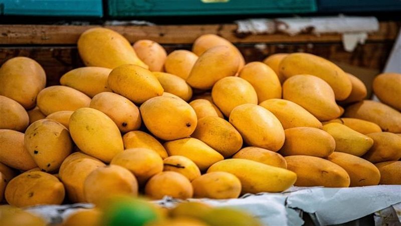 أسعار المانجو اليوم، قفزة في العويسي والفص و6 أصناف تسجل 35 جنيها
