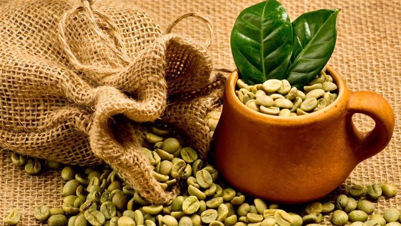 فوائد القهوة الخضراء، لإنقاص الوزن وتعزيز الصحة