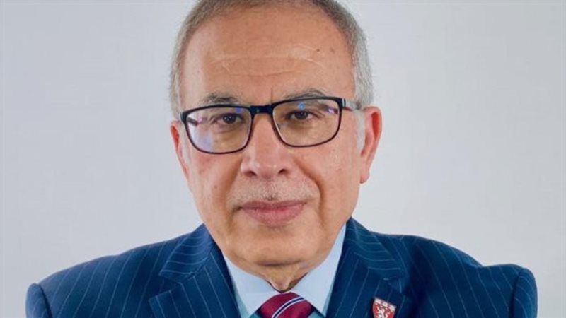 هوس وانزلاق سلوكي يصيب المصريين، أستاذ بهارفارد يحذر من انهيار وشيك للمجتمع المصري