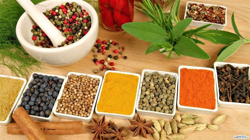 علاج ارتجاع المريء نهائيا بالطرق الطبيعية والأعشاب الطبية