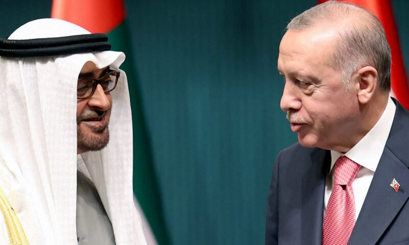 رئيس الإمارات يتلقّى اتصالًا من أردوغان.. وهذا ما بحثاه