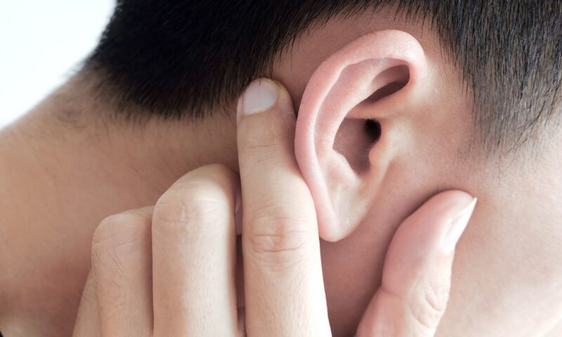 كانديدا اوريس: ما هي هذه الفطريات الخطيرة التي تصيب الأذن؟