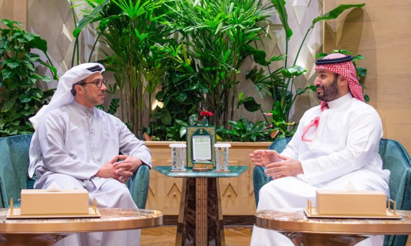 لقاء محمد بن سلمان ومنصور بن زايد.. أبرز ردود الفعل في الإمارات والسعودية