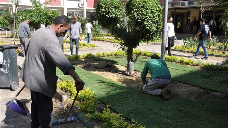 بعد فيديو قطع الأشجار، تجارة عين شمس تعيد زرع الحرم الجامعي (صور)