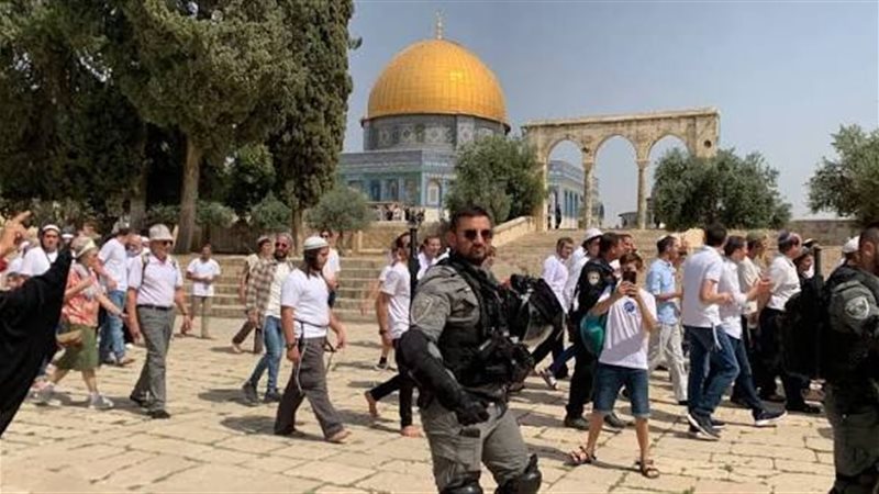 “الأوقاف الإسلامية بالقدس”: 907 مستوطنين اقتحموا المسجد الأقصى بحماية شرطة الاحتلال