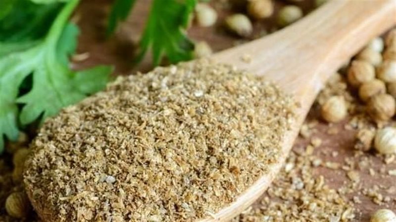 فوائد الكزبرة الناشفة ودورها في دعم صحة الجسم