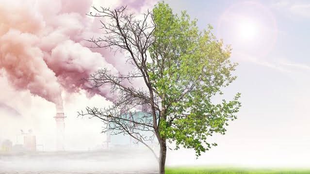 النينيو.. ظاهرة طبيعية قد تعيد رسم أنماط الطقس حول العالم