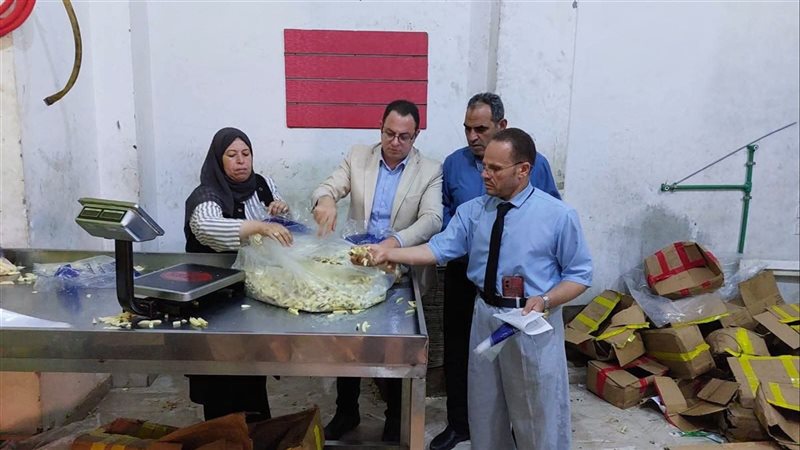 ضبط 7.5 أطنان بطاطس منتهية الصلاحية بتواريخ جديدة في كرداسة
