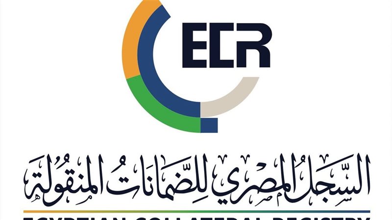 الرقابة المالية تبحث سبل تطوير خدمات السجل المصري للضمانات المنقولة