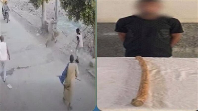 مشاجرة بالعصي في أسيوط تنتهي بضبط المتهم وكشف ملابسات الفيديو