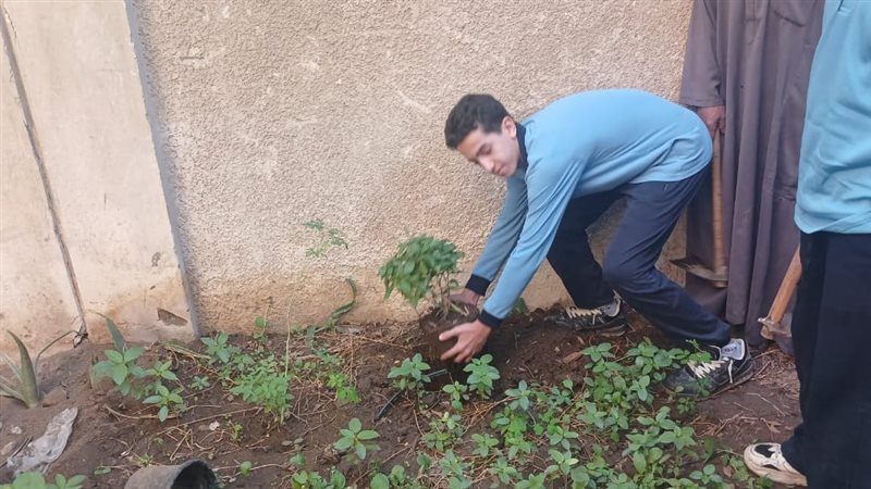 “اتحضر للأخضر” داخل مدارس الجيزة، تدريب الطلاب عمليا على زراعة الأشجار والنباتات