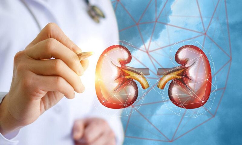 الصحة: عدم توافق المتبرع لا يعني بالضرورة استحالة زراعة الكلى