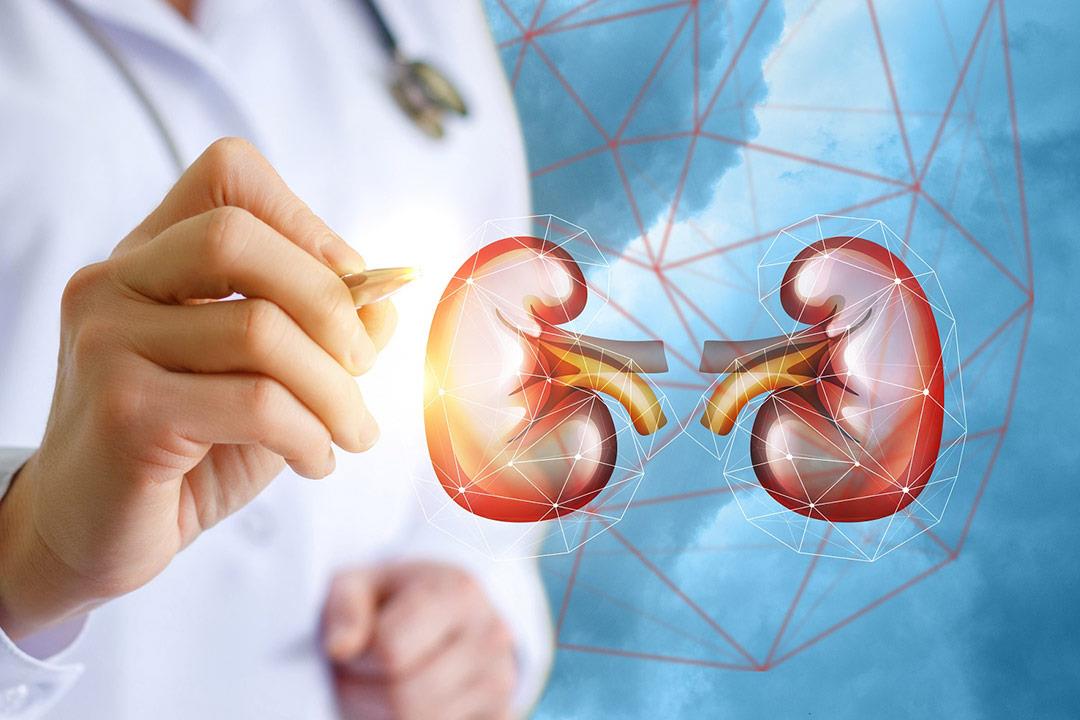 الصحة: عدم توافق المتبرع لا يعني بالضرورة استحالة زراعة الكلى