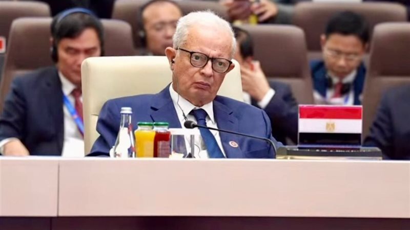 مصر تدعو من قمة شنغهاي لإعادة تشكيل النظام الدولي: «لا مكان للإجراءات الأحادية»