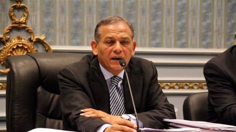 السادات: سد النهضة قضية حقوق إنسان.. والأمن المائي المصري لا يحتمل إدارة أحادية