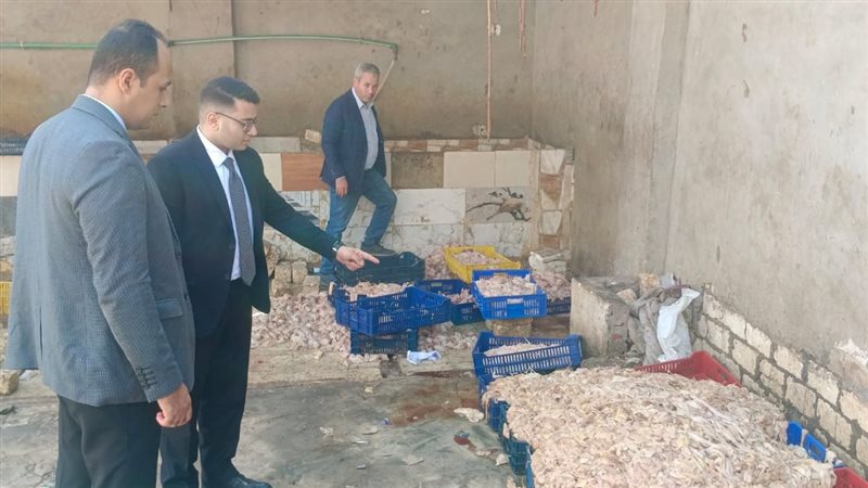 “حماية المستهلك” يضبط مصنعا غير مرخص بأبو النمرس بداخله طنَّا أجزاء دواجن فاسدة