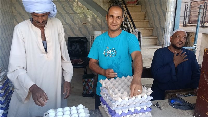 انخفاض جديد في أسعار البيض اليوم السبت بقنا والطبق يسجل 60 جنيها