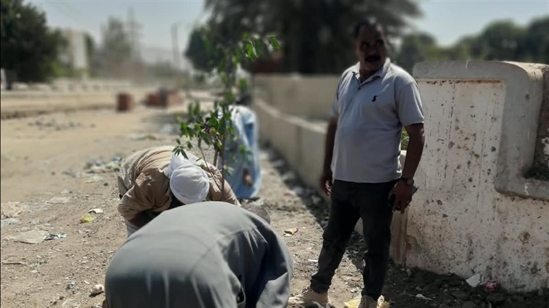 استمرار أعمال التشجير بمداخل القرى والطرق الرئيسية بمحافظة أسيوط
