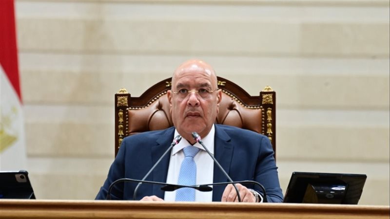 هشام بدوي يعقد لقاءً بالفيديو كونفرانس مع رئيس مجلس النواب الأسترالي