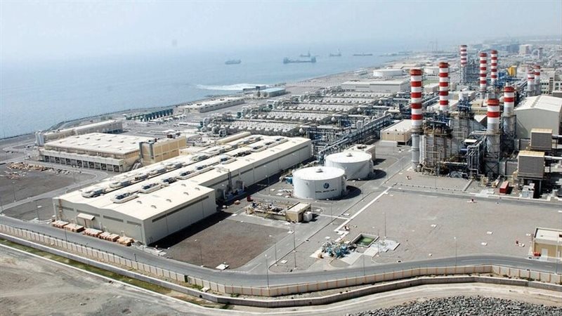 بعد تسببها في توقف محطات تحلية المياه بإسرائيل، النشطاء: كل الدعم لطحالب النيل العظيمة