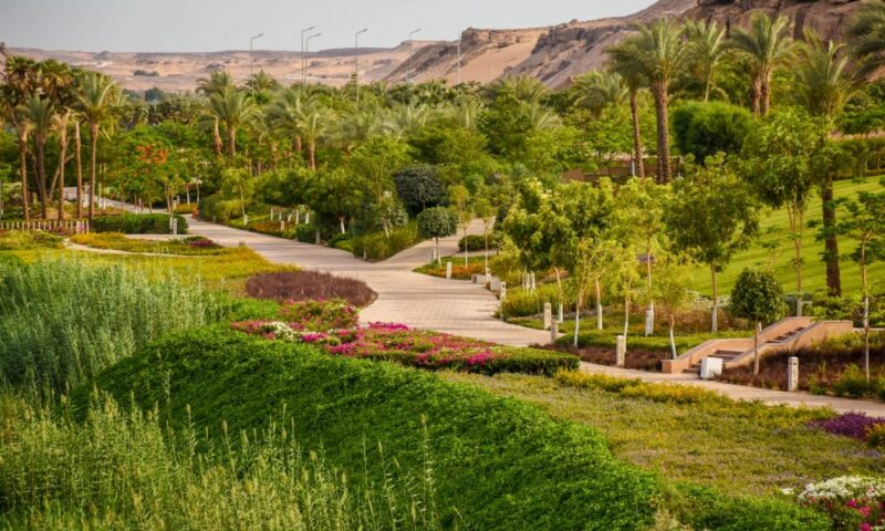 100 مليون شجرة لتغيير وجه مصر.. 7 ملايين شجرة في المرحلة الثالثة وخطة متكاملة لتوسيع المساحات الخضراء