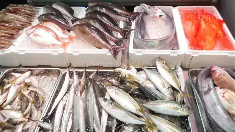 أسعار السمك اليوم، ارتفاع جميع الأنواع والبوري بـ 220 جنيها والجمبري يتجاوز الـ 1100