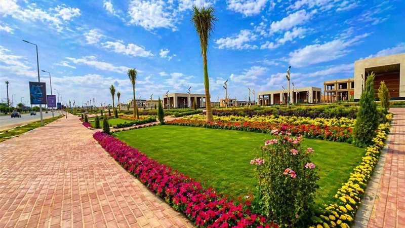 الإسكان تعلن تنفيذ خطة متكاملة لزيادة معدلات التشجير بالشروق (صور)