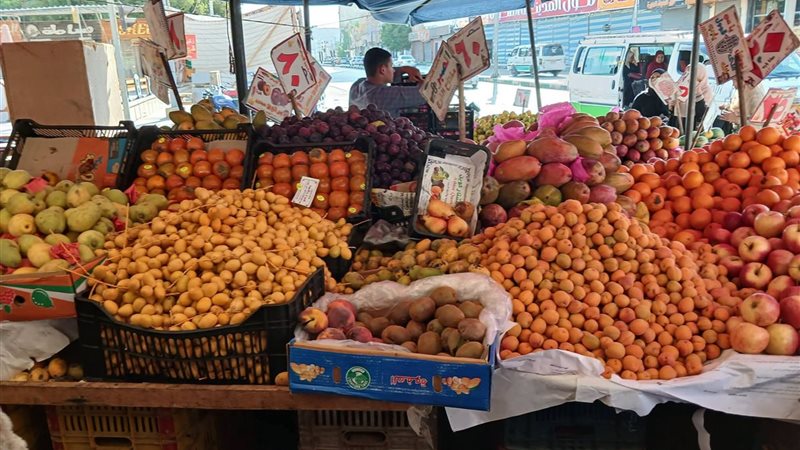 جهود مكثفة بالوحدات المحلية بالوادي الجديد لرفع كفاءة المرافق وتحسين الخدمات