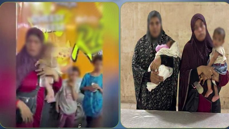 قيديو يوثق الواقعة، القبض على سيدتين بتهمة استغلال رضيعين في التسول بدار السلام