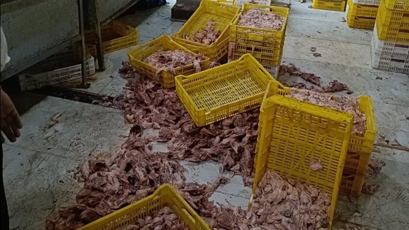 ضبط 70 طن لحوم ودواجن فاسدة وغير صالحة للاستهلاك الآدمي في الجيزة