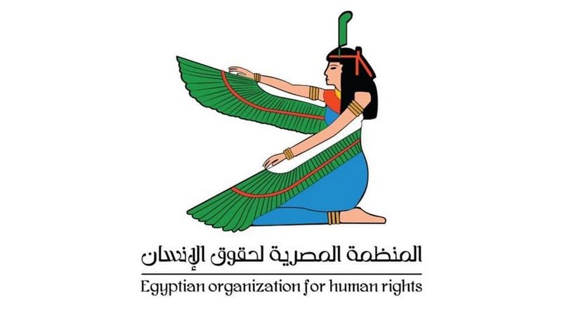 المنظمة المصرية لحقوق الإنسان: الديمقراطية أحد الركائز الأساسية لتعزيز سيادة القانون