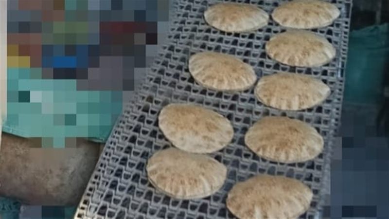 حصاد أغسطس، تحرير 2922 محضرًا خلال حملات تموينية بالبحيرة