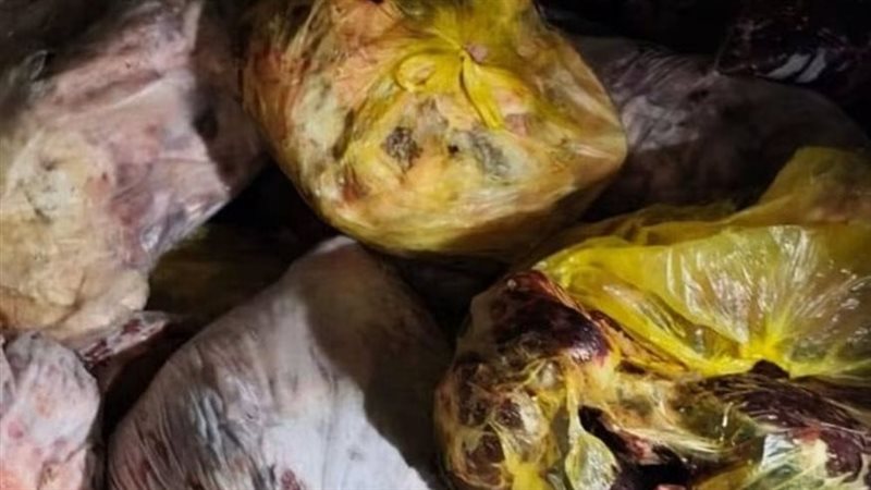 التحفظ على 20 طن لحوم مفرومة غير صالحة للاستهلاك بالخصوص