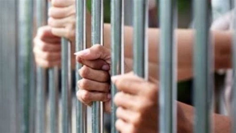 حبس تشكيل عصابي تخصص في سرقة الهواتف المحمولة بالجيزة