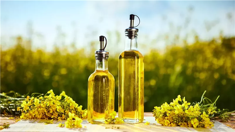 استيراد 90 % من الزيوت يتطلب إعادة رسم خريطة المحاصيل الزيتية.. خبراء الزراعة: الكانولا وعباد الشمس حل مثالي للأزمة.. والتوسع في زراعة الزيتون والسمسم ونخيل الزيت