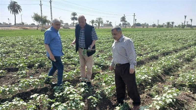 محمود عطا لـ «فيتو»: الإرشاد الزراعي مات والجمعيات الزراعية خرجت من الخدمة