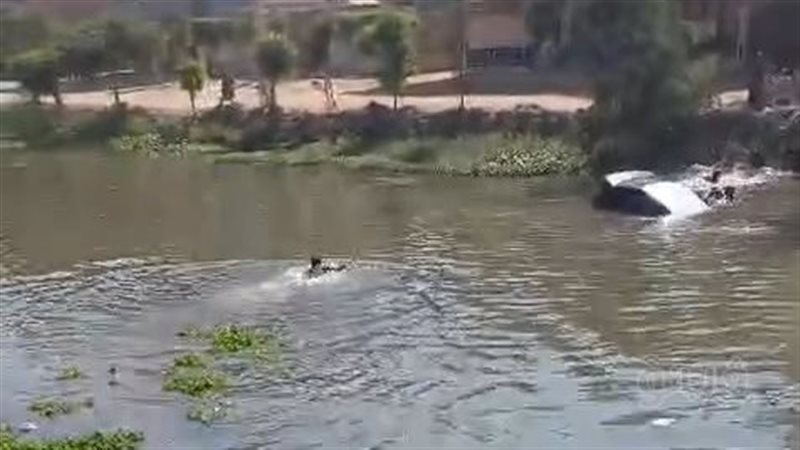 شباب ينقذون فتاة سقطت بسيارتها في ترعة بالشرقية (فيديووصور)