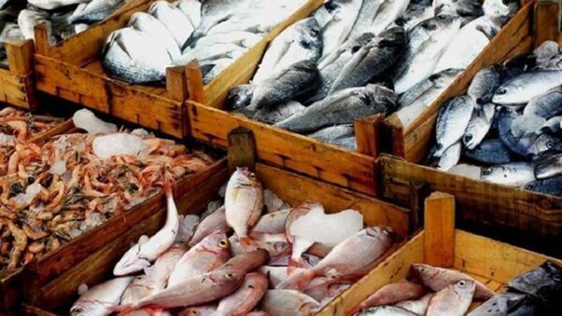 أسعار السمك اليوم، البلطي بـ 72 جنيهًا وقفزة في قشر البياض والمكرونة وانخفاض البوري 10 جنيهات