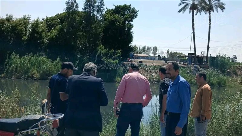 الأجهزة التنفيذية بالشرقية تنتقل إلى عزبة السدرة لكشف حقيقة ظهور تمساح (فيديو وصور)