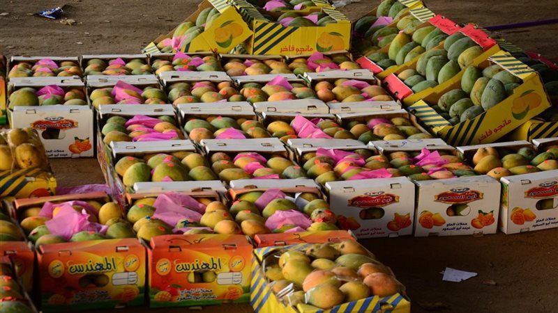 أسعار المانجو اليوم الثلاثاء، ارتفاع يصل إلى 10 جنيهات في 7 أنواع منها العويسي والفص