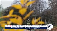 الطقس اليوم الثلاثاء 29 سبتمبر 2026.. أجواء خريفية وشبورة وأمطار والعظمى بالقاهرة 31 درجة
