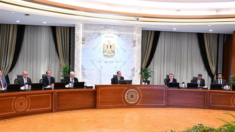 الاستثمار الأجنبي يقفز وميزان المدفوعات يتحسن.. ماذا ناقشت المجموعة الاقتصادية؟