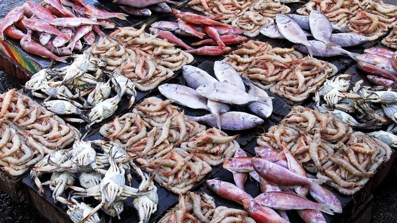 أسعار السمك اليوم، انخفاض غير مسبوق في البلطي والكابوريا وارتفاع الجمبري 20 جنيها
