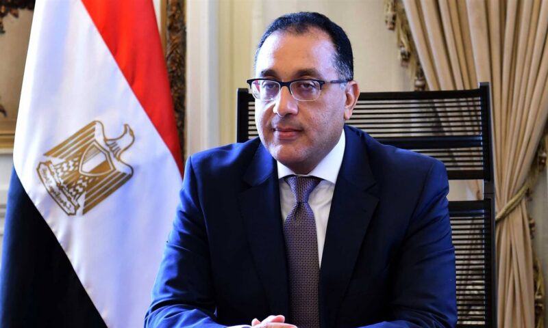 بعد توجيهات الحكومة.. تعرف على عقوبة قطع الأشجار في مصر